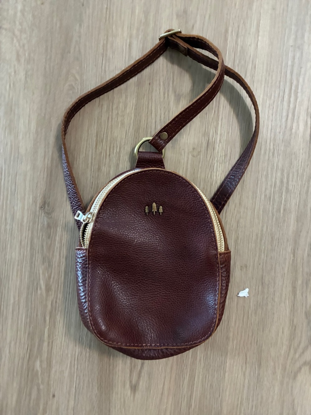Portland Leather Deep Brown Mini Oval Crossbody with Gold Zipper